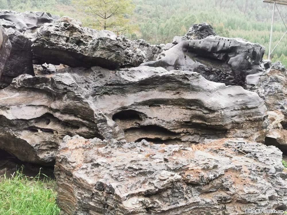 风景石、假山石大量有货，有需要的欢迎联系 - 新手上路 - 德州生活社区 - 德州28生活网 dz.28life.net