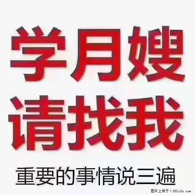 为什么要学习月嫂，育婴师？ - 新手上路 - 德州生活社区 - 德州28生活网 dz.28life.net