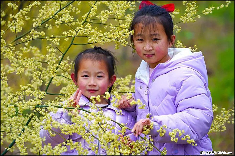 【春天，广西桂林灌阳县向您发出邀请！】米珠山前有片山苍子花在飘香 - 游山玩水 - 德州生活社区 - 德州28生活网 dz.28life.net