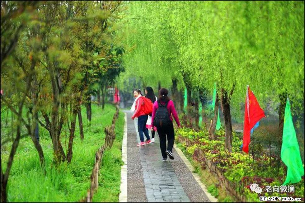 【春天，广西桂林灌阳县向您发出邀请！】江口老街又逢春 - 游山玩水 - 德州生活社区 - 德州28生活网 dz.28life.net