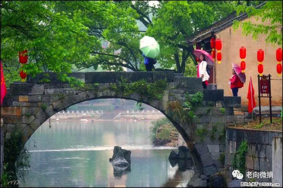 【春天，广西桂林灌阳县向您发出邀请！】江口老街又逢春 - 游山玩水 - 德州生活社区 - 德州28生活网 dz.28life.net