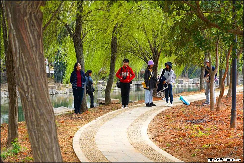 【春天，广西桂林灌阳县向您发出邀请！】江口老街又逢春 - 游山玩水 - 德州生活社区 - 德州28生活网 dz.28life.net
