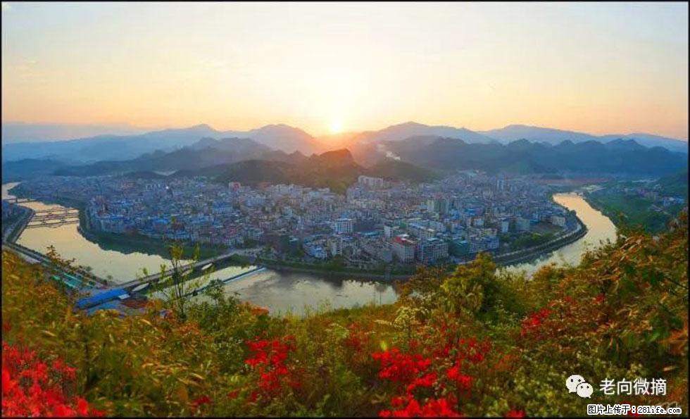 【春天，广西桂林灌阳县向您发出邀请！】登麒麟山，相约映山红 - 游山玩水 - 德州生活社区 - 德州28生活网 dz.28life.net