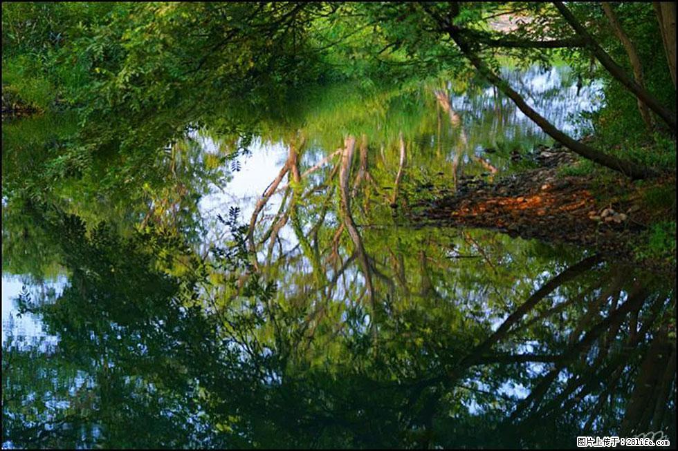 【春天，广西桂林灌阳县向您发出邀请！】熊家寨湿地公园 - 游山玩水 - 德州生活社区 - 德州28生活网 dz.28life.net