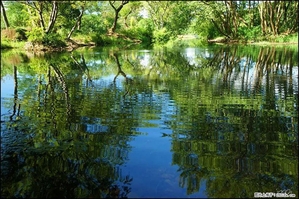 【春天，广西桂林灌阳县向您发出邀请！】熊家寨湿地公园 - 游山玩水 - 德州生活社区 - 德州28生活网 dz.28life.net