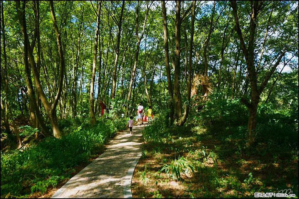 【春天，广西桂林灌阳县向您发出邀请！】熊家寨湿地公园 - 游山玩水 - 德州生活社区 - 德州28生活网 dz.28life.net