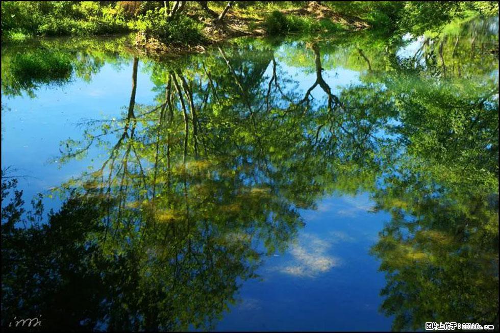 【春天，广西桂林灌阳县向您发出邀请！】熊家寨湿地公园 - 游山玩水 - 德州生活社区 - 德州28生活网 dz.28life.net