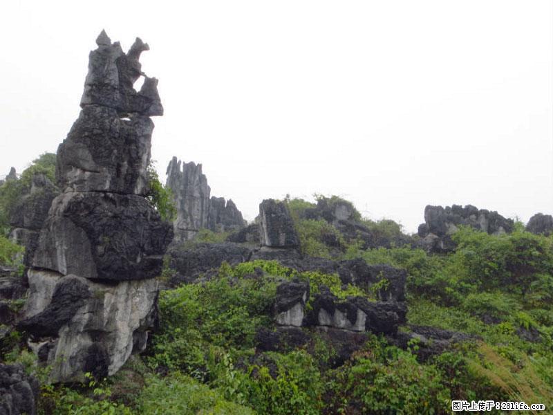 桂林旅游名城景点：灌阳文市石林 - 游山玩水 - 德州生活社区 - 德州28生活网 dz.28life.net