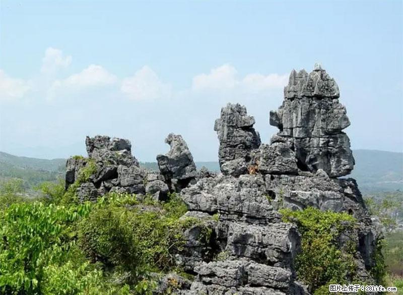 桂林旅游名城景点：灌阳文市石林 - 游山玩水 - 德州生活社区 - 德州28生活网 dz.28life.net