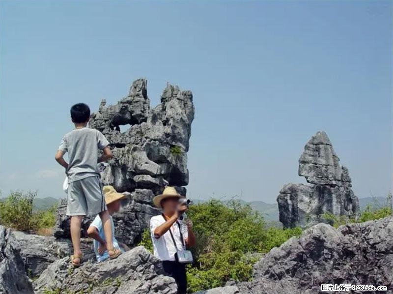 桂林旅游名城景点：灌阳文市石林 - 游山玩水 - 德州生活社区 - 德州28生活网 dz.28life.net