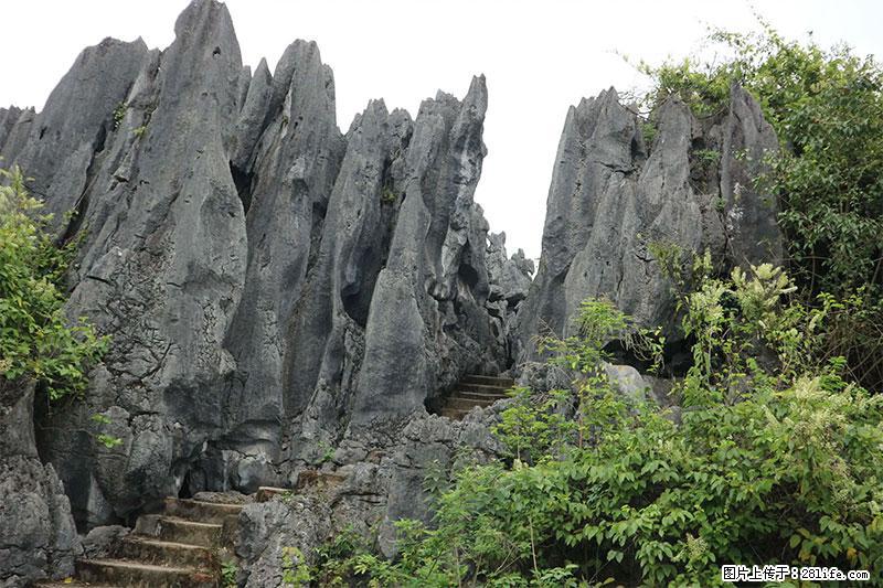 桂林旅游名城景点：灌阳文市石林 - 游山玩水 - 德州生活社区 - 德州28生活网 dz.28life.net