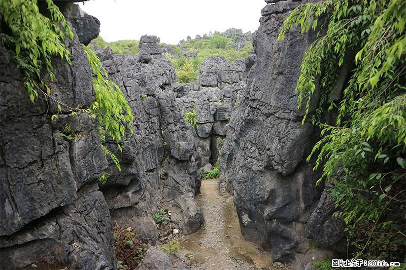 桂林旅游名城景点：灌阳文市石林 - 游山玩水 - 德州生活社区 - 德州28生活网 dz.28life.net