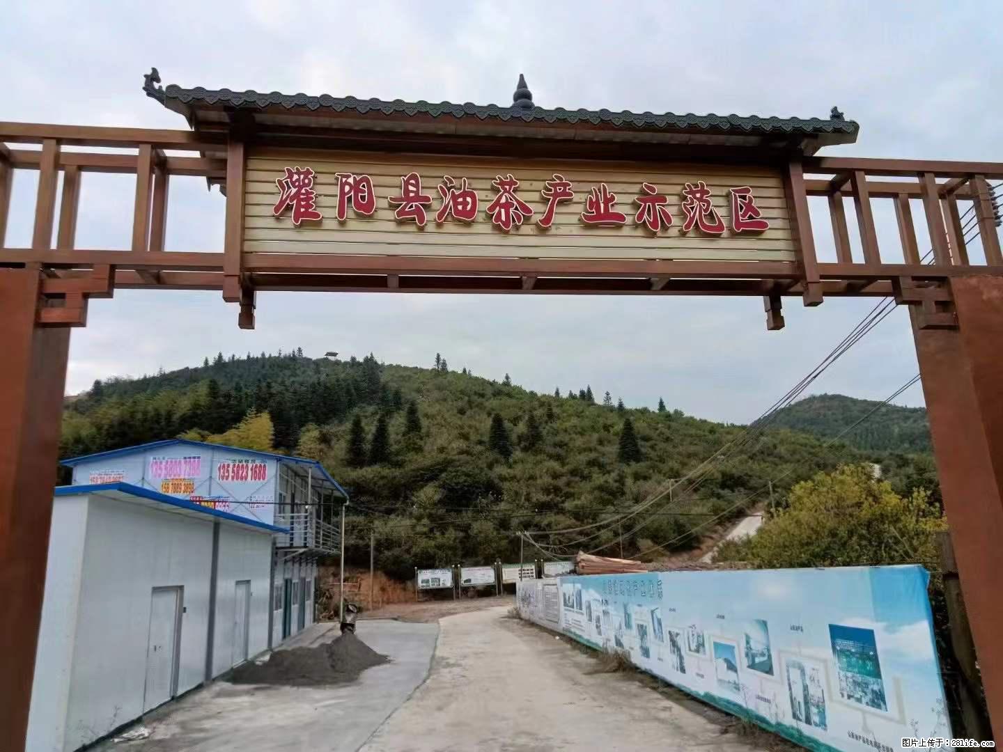 【灌阳县油茶产业示范区】一个有着充实的精神生活的人，对待身外之物自会有一种淡泊的态度 - 土特产 - 饮食特产 - 德州分类信息 - 德州28生活网 dz.28life.net