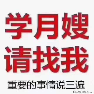 为什么要学习月嫂，育婴师？ - 德州28生活网 dz.28life.net