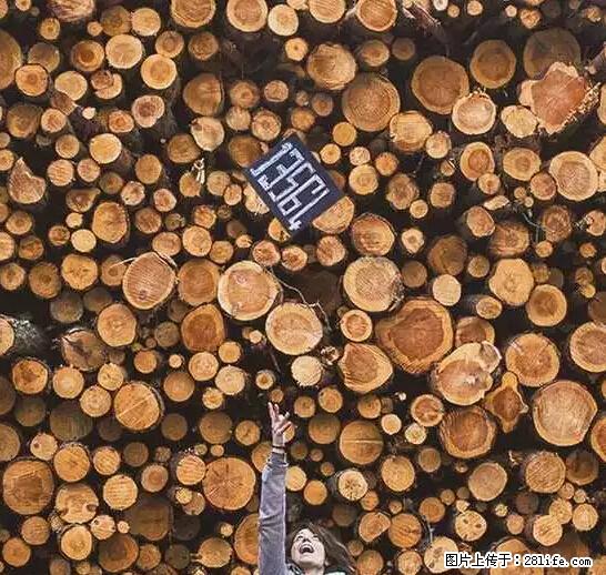 辞掉工作周游世界？现在他们在洗厕所…… - 游山玩水 - 德州生活社区 - 德州28生活网 dz.28life.net