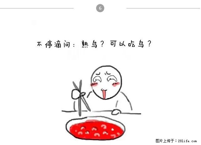 千万不要和这9种哈卵一起吃火锅！ - 美食天地 - 德州生活社区 - 德州28生活网 dz.28life.net