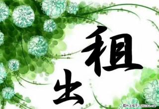 金湖城 精装修 两室 家具家电齐全 1000元 - 德州28生活网 dz.28life.net