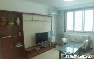 新湖南小学东邻阳光花园 3楼精装绝好楼层 家具家电齐全 - 德州28生活网 dz.28life.net