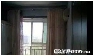 龙元世纪广场 92平精装2居 家具家电齐全 拎包入住 - 德州28生活网 dz.28life.net