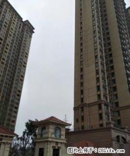 星凯国际新房子整租三室两厅交通便利 - 德州28生活网 dz.28life.net