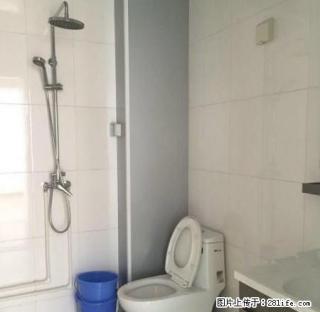 开发区嘉诚东郡 精装 好房 拎包入住 家具家电齐全 随时入住 - 德州28生活网 dz.28life.net