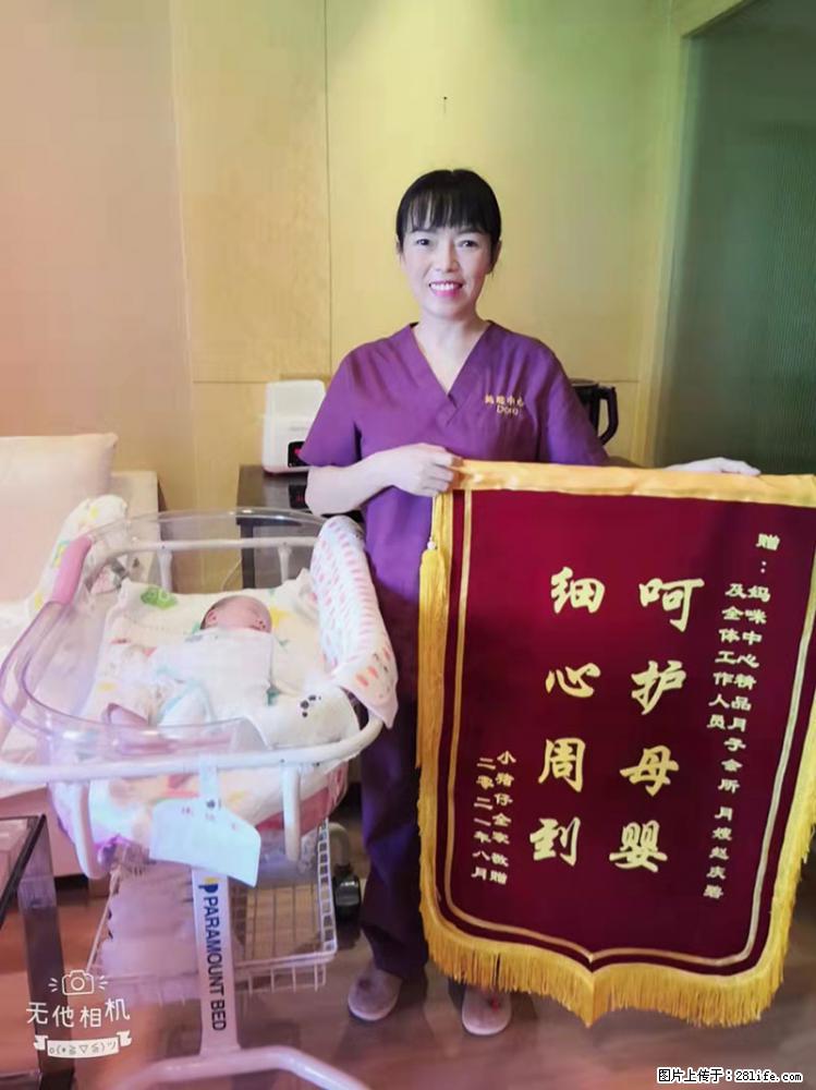上海高端月子会所招新手月嫂，零基础带教，包吃住 - 职场交流 - 德州生活社区 - 德州28生活网 dz.28life.net