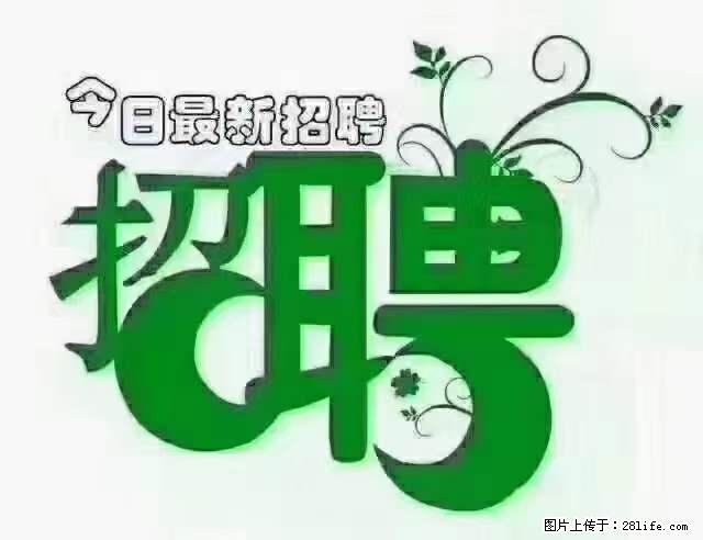 【招聘摄像师】待遇：试用期6000元/月，转正7000元/月+五险一金+餐补+节日福利+奖金 - 职场交流 - 德州生活社区 - 德州28生活网 dz.28life.net