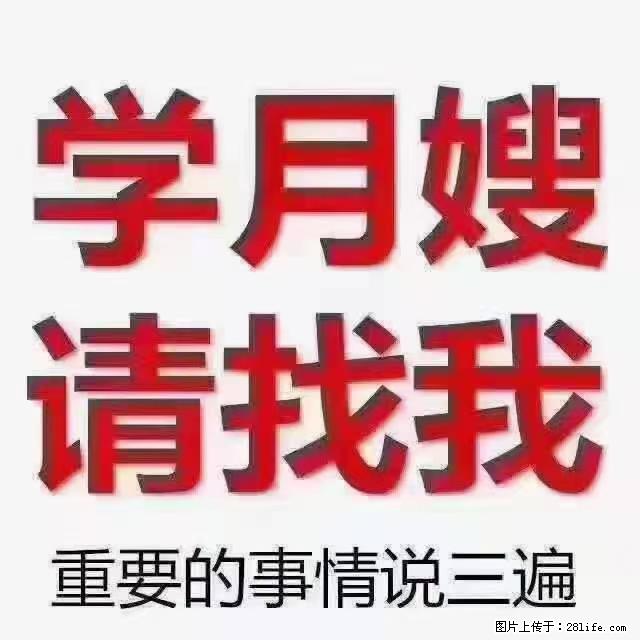【招聘】月嫂，上海徐汇区 - 职场交流 - 德州生活社区 - 德州28生活网 dz.28life.net