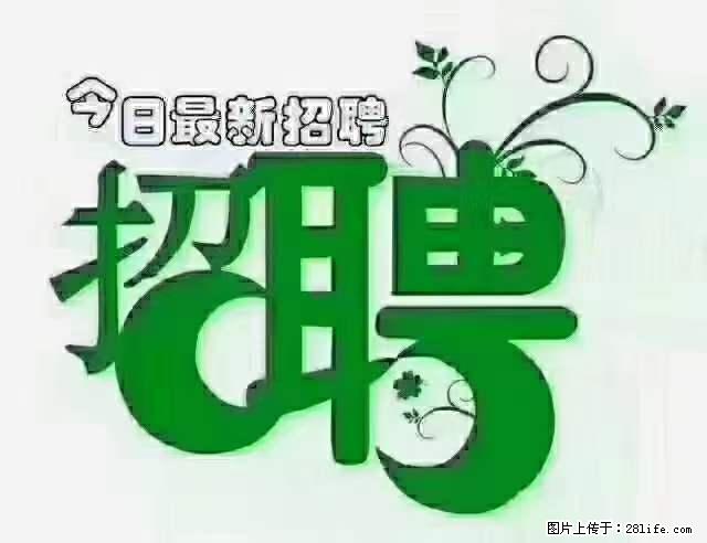 上海隔离酒店招人：55岁以下 男女不限 - 职场交流 - 德州生活社区 - 德州28生活网 dz.28life.net