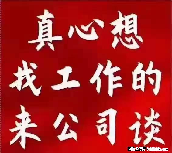 【上海】国企，医院招两名男保安，55岁以下，身高1.7米以上，无犯罪记录不良嗜好 - 职场交流 - 德州生活社区 - 德州28生活网 dz.28life.net