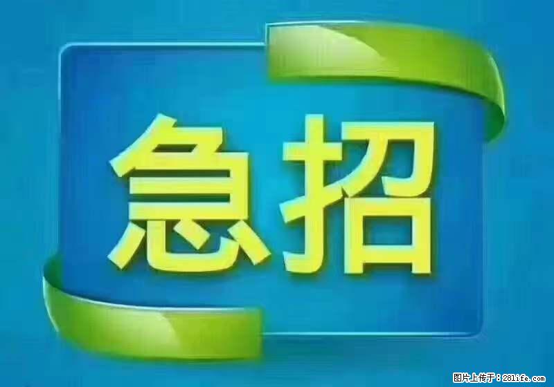 招出纳8000元/月，无证可以，要有相关经验，上海五险一金，包住，包工作餐，做六休一。 - 职场交流 - 德州生活社区 - 德州28生活网 dz.28life.net