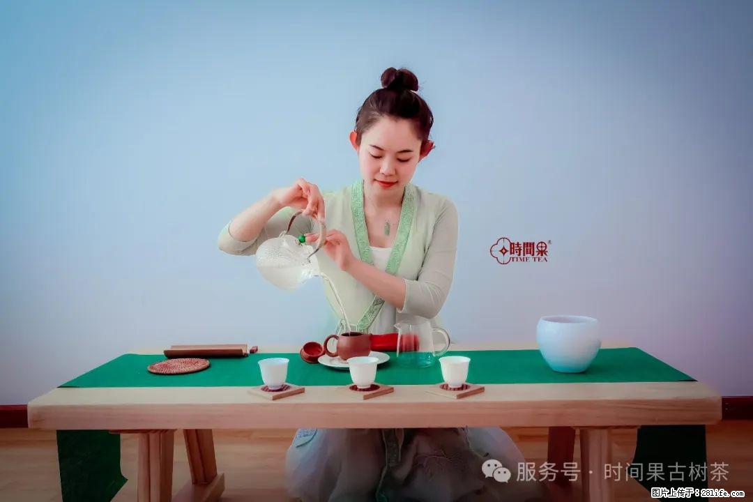 时间果百年古树龙珠普洱生茶 - 购物交流 - 德州生活社区 - 德州28生活网 dz.28life.net