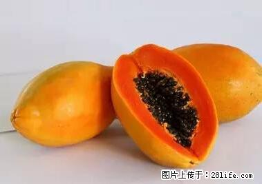 晕车、脚气、牙齿变黄、皮肤粗糙？学会这些三分钟搞定！ - 德州生活资讯 - 德州28生活网 dz.28life.net