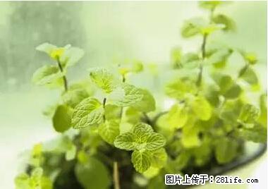 晕车、脚气、牙齿变黄、皮肤粗糙？学会这些三分钟搞定！ - 德州生活资讯 - 德州28生活网 dz.28life.net