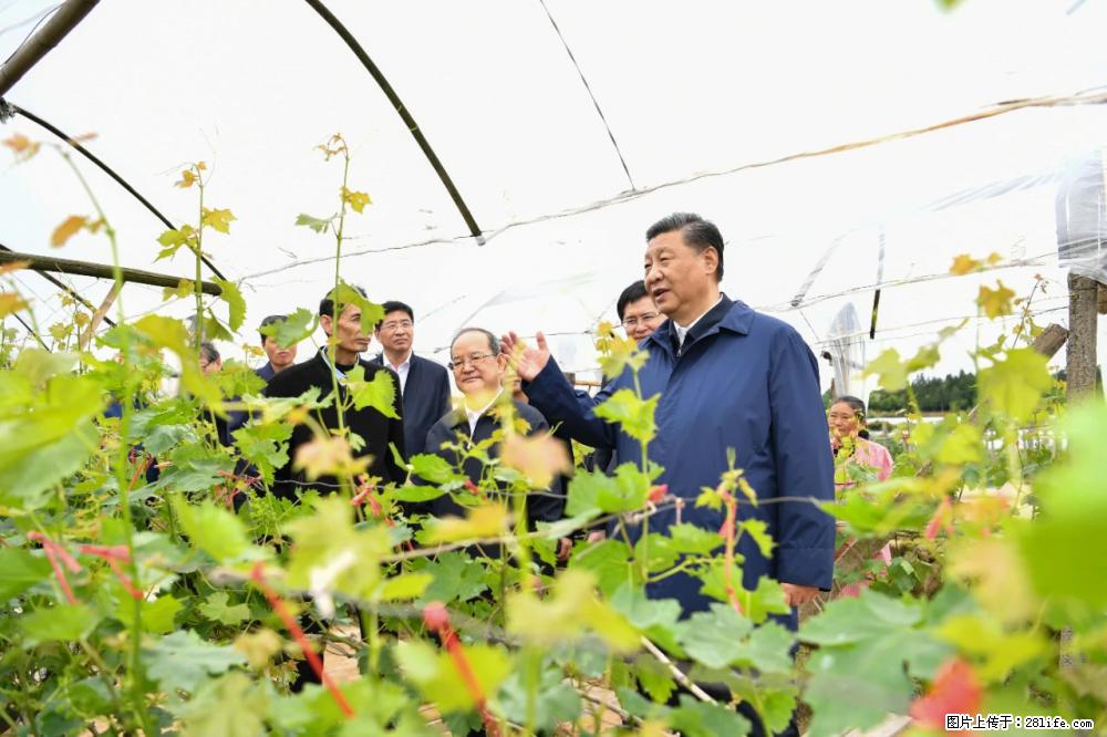 习近平赴广西考察调研 - 德州生活资讯 - 德州28生活网 dz.28life.net