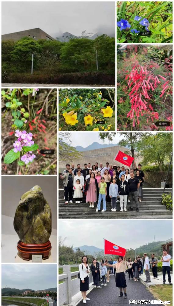 “粤灌文化 美好生活”油茶文化主题活动在广东深圳成功举办 - 德州生活资讯 - 德州28生活网 dz.28life.net