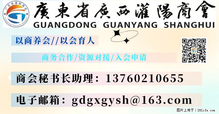 “粤灌文化 美好生活”油茶文化主题活动在广东深圳成功举办 - 德州生活资讯 - 德州28生活网 dz.28life.net