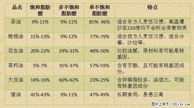 揭秘茶油的5大核心营养成分！被称为人体健康的“守护盾”！ - 德州生活资讯 - 德州28生活网 dz.28life.net