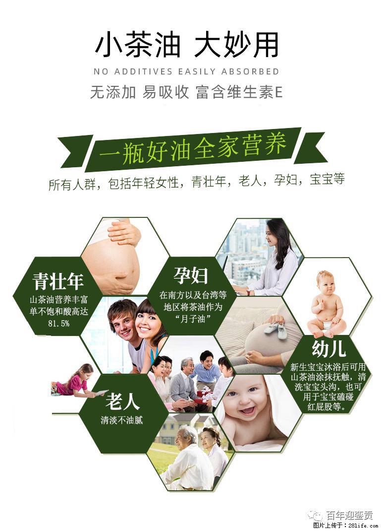 世界没有真相，只有认知，最好的食用油是中国的山茶油！ - 德州生活资讯 - 德州28生活网 dz.28life.net