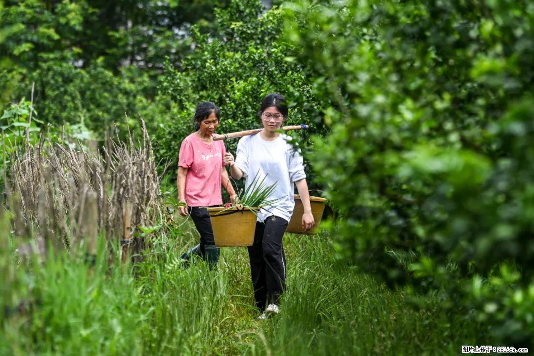 全网追的“扁担女孩”，找了一份暑假工，时薪12元 - 德州生活资讯 - 德州28生活网 dz.28life.net