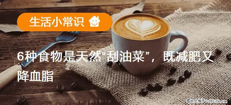 【生活小常识】6种食物是天然“刮油菜”，既减肥又降血脂 - 德州生活资讯 - 德州28生活网 dz.28life.net