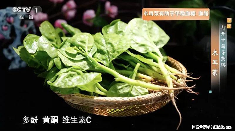 比牛奶补钙还厉害！凉血解毒、稳血糖...这菜冬天必吃，很多人却当草 - 德州生活资讯 - 德州28生活网 dz.28life.net