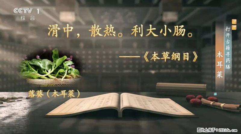 比牛奶补钙还厉害！凉血解毒、稳血糖...这菜冬天必吃，很多人却当草 - 德州生活资讯 - 德州28生活网 dz.28life.net