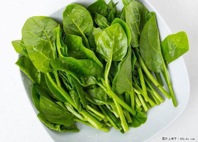 这些蔬菜是“天然钙片”，这6种被医生重点推荐 - 德州生活资讯 - 德州28生活网 dz.28life.net