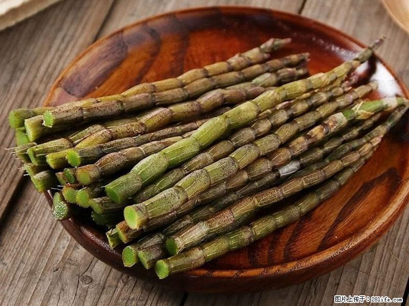 铁皮石斛的作用与功能主治 - 德州生活资讯 - 德州28生活网 dz.28life.net