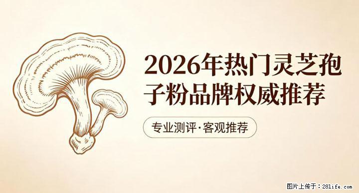 灵芝孢子粉含量越高越有效？2026 年七款热门品牌深度实测，肠胃敏感者避坑指南 - 德州生活资讯 - 德州28生活网 dz.28life.net